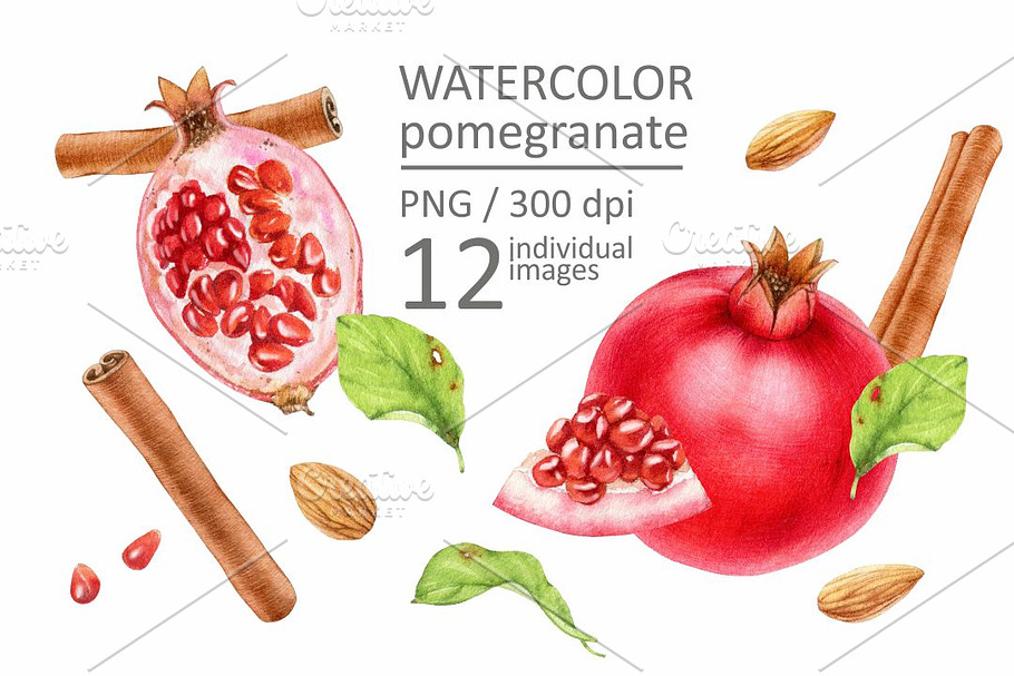 Watercolor pomegranate