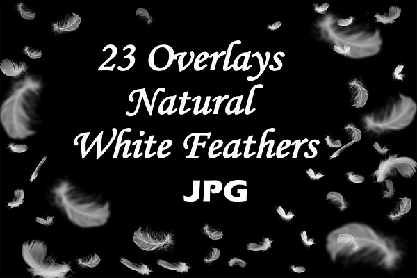 23 Falling Realistic White Feathers