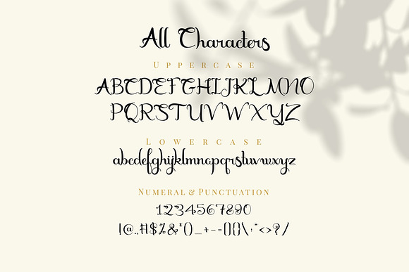 Marceila in Script Fonts - product preview 5