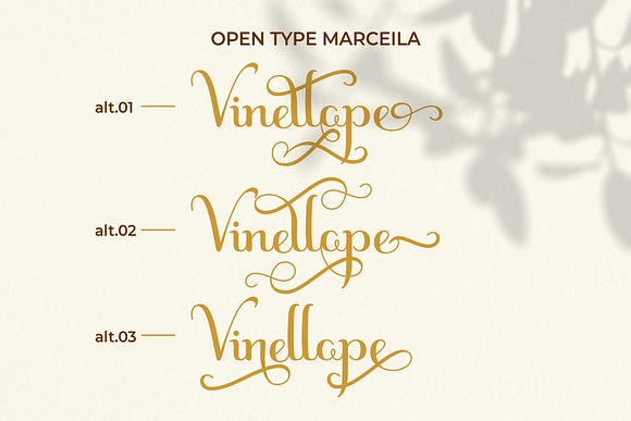 Marceila in Script Fonts - product preview 10