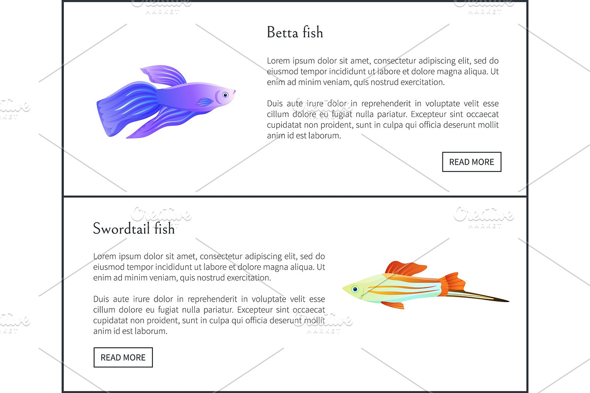 Betta and Swirdtail Fish Set Vector in Illustrations - product preview 8