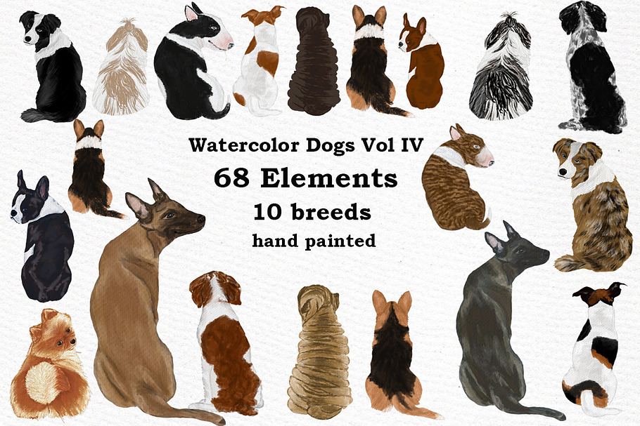 Dog Clipart, Dog breeds, Pet clipart in Illustrations - product preview 8