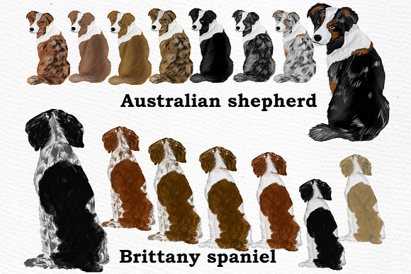 Dog Clipart, Dog breeds, Pet clipart in Illustrations - product preview 1
