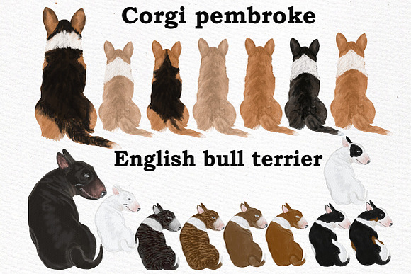Dog Clipart, Dog breeds, Pet clipart in Illustrations - product preview 3
