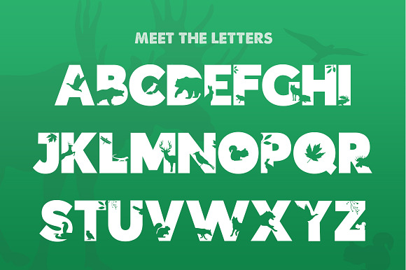 The Forest Font in Display Fonts - product preview 1