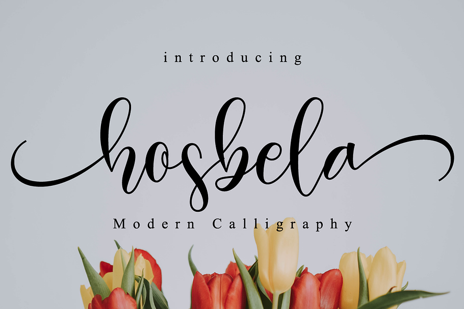 Hosbela Script in Script Fonts - product preview 8