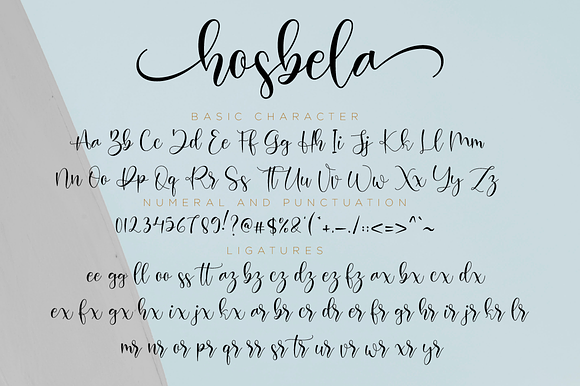 Hosbela Script in Script Fonts - product preview 10
