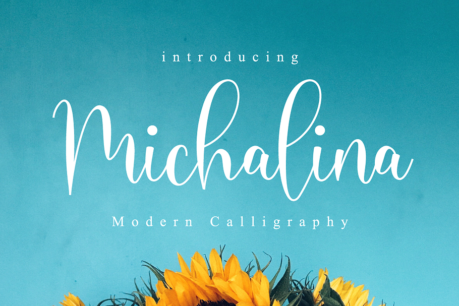 Michalina // Elegant Font Script in Script Fonts - product preview 8