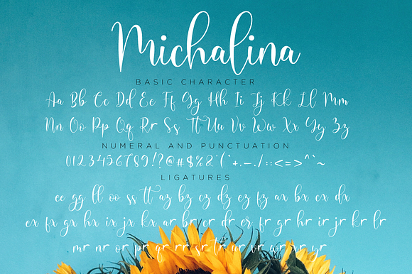 Michalina // Elegant Font Script in Script Fonts - product preview 10