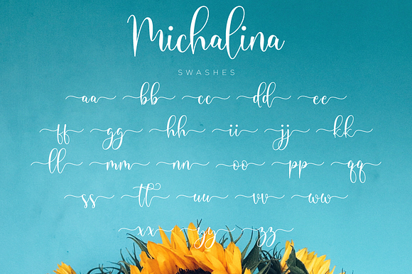 Michalina // Elegant Font Script in Script Fonts - product preview 11