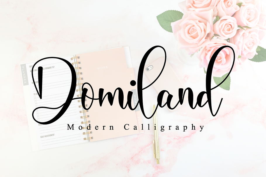 Domiland Script in Script Fonts - product preview 8
