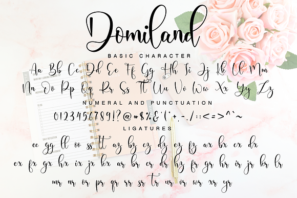 Domiland Script in Script Fonts - product preview 10