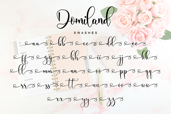 Domiland Script in Script Fonts - product preview 11