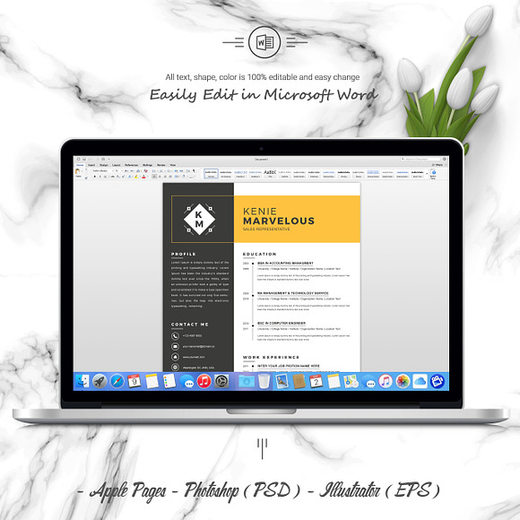 Resume Template 4 Page | CV Template in Letter Templates - product preview 4