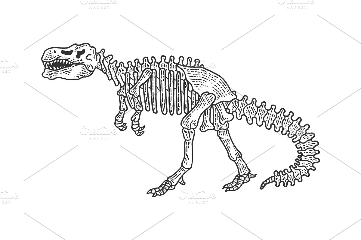 Tyrannosaur skeleton sketch vector in Illustrations - product preview 8