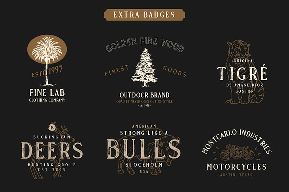 Gold Coast - Vintage Serif + Extras in Serif Fonts - product preview 4