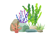 Seaweed Rocks and Plants Set Vector