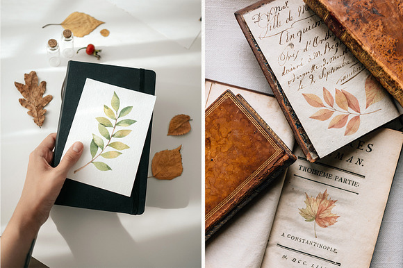Watercolor Autumn leaves in Illustrations - product preview 1
