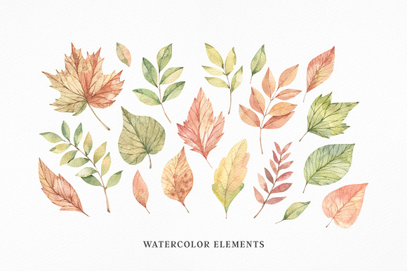 Watercolor Autumn leaves in Illustrations - product preview 2