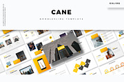 Cane - Google Slides Template
