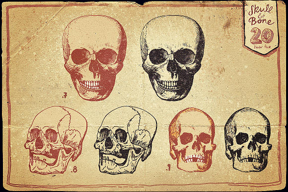Vintage Skull and Bone Vector pack in Illustrations - product preview 5