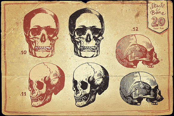 Vintage Skull and Bone Vector pack in Illustrations - product preview 6