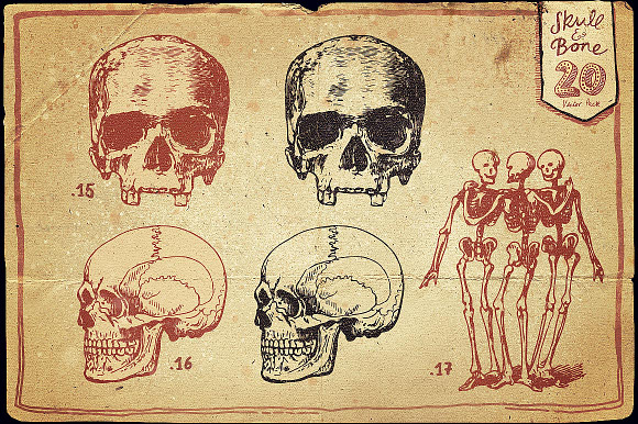 Vintage Skull and Bone Vector pack in Illustrations - product preview 8