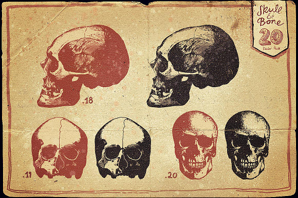 Vintage Skull and Bone Vector pack in Illustrations - product preview 9