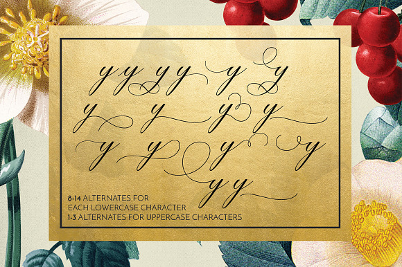 The Stylish Fonts Bundle in Script Fonts - product preview 14