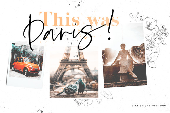 The Stylish Fonts Bundle in Script Fonts - product preview 23