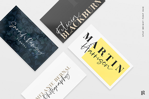 The Stylish Fonts Bundle in Script Fonts - product preview 25