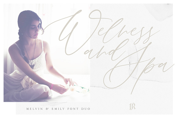 The Stylish Fonts Bundle in Script Fonts - product preview 31