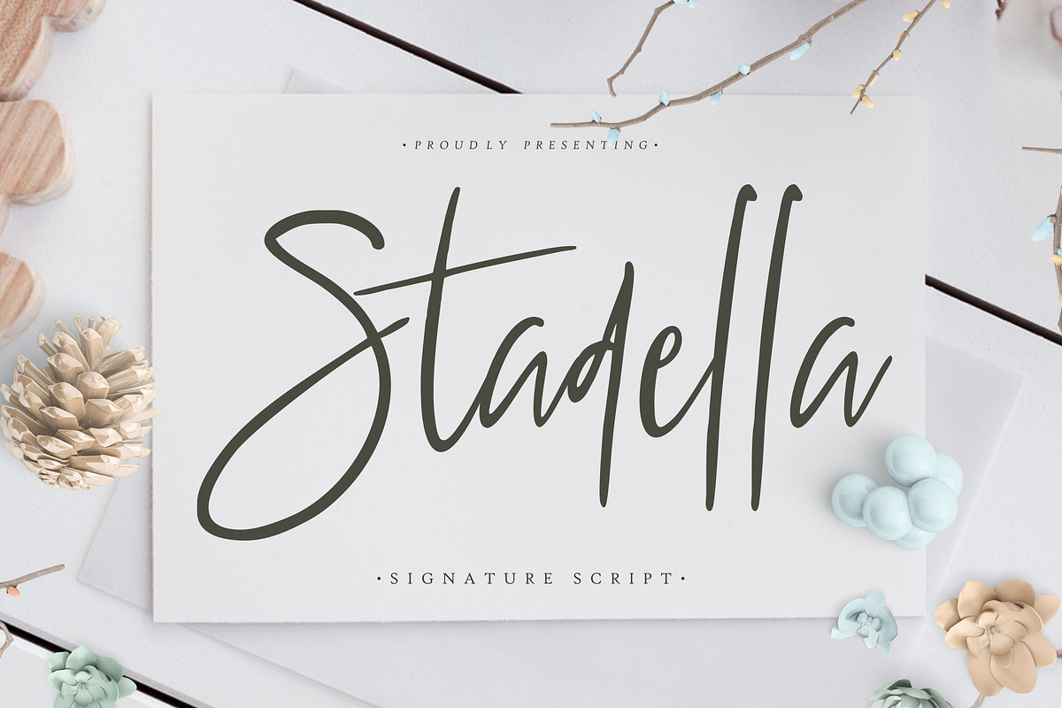 Stadella Signature Script in Serif Fonts - product preview 8