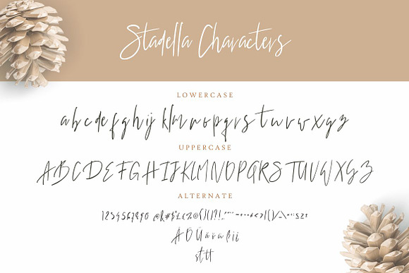 Stadella Signature Script in Serif Fonts - product preview 6