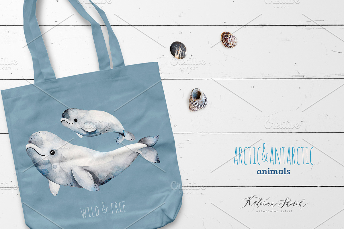 Arctic&Antarctic animals in Illustrations - product preview 8