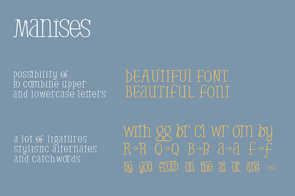 Manises in Display Fonts - product preview 2