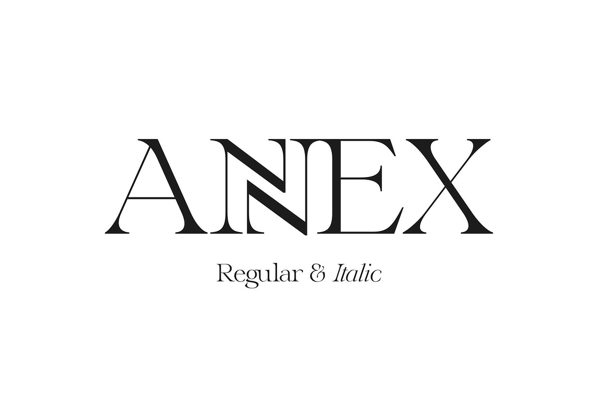 Annex — Display Font in Serif Fonts - product preview 8