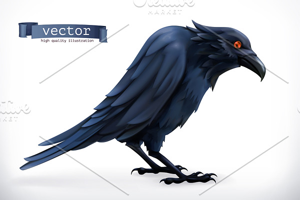 Raven. Bird. Happy Halloween, vector