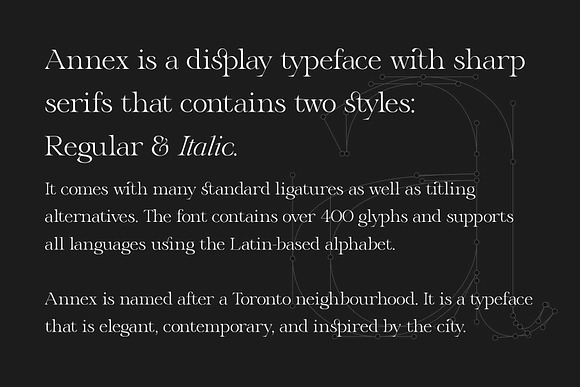 Annex — Display Font in Serif Fonts - product preview 3