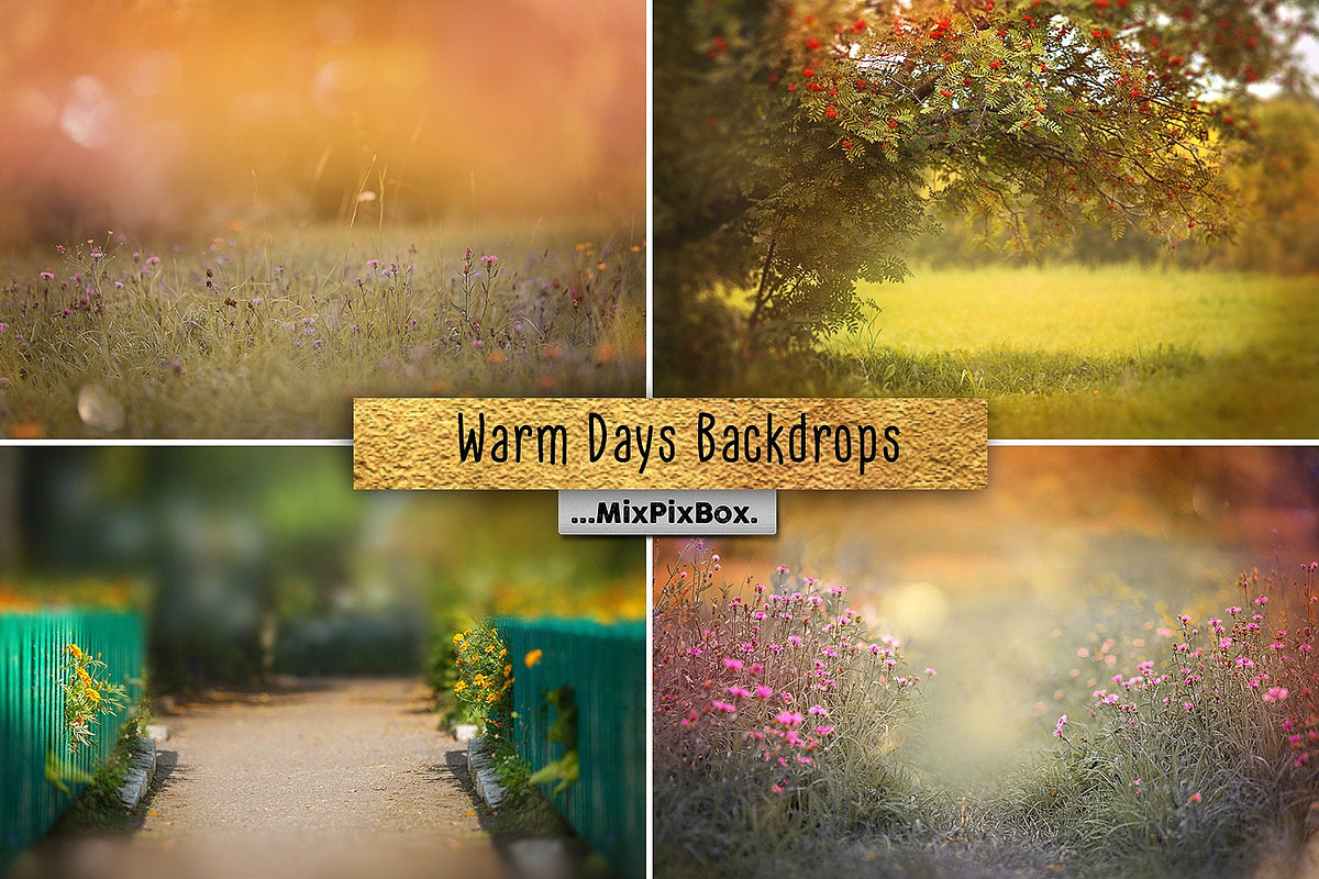 Warm Days Backdrop in Add-Ons - product preview 8