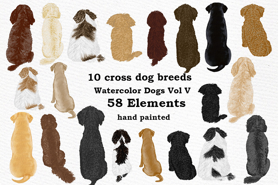 Dog Clipart, Dog breeds, Pet clipart in Illustrations - product preview 8