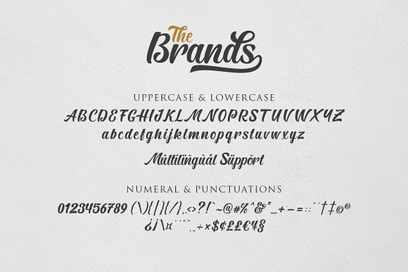 The Brands Font in Script Fonts - product preview 10