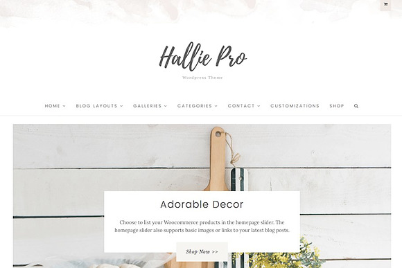 The Hallie Pro Wordpress Theme in WordPress Blog Themes - product preview 5