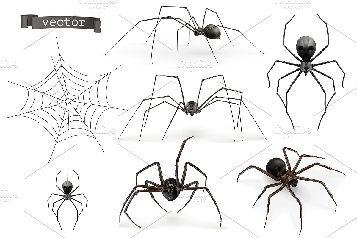 Spider and web. Halloween symbol in Icons - product preview 8