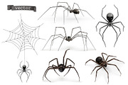 Spider and web. Halloween symbol