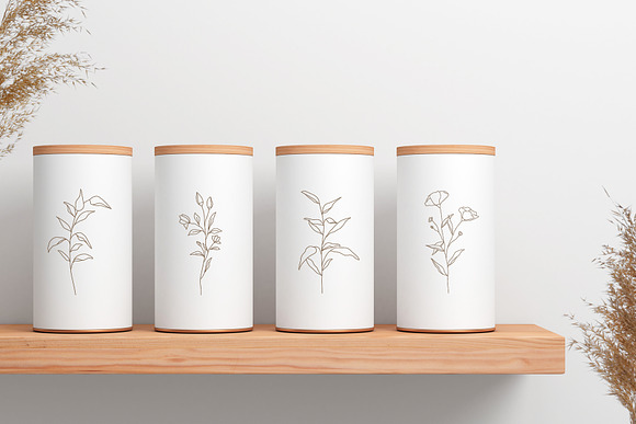Botanical Line Illustrations Vol1 in Illustrations - product preview 5