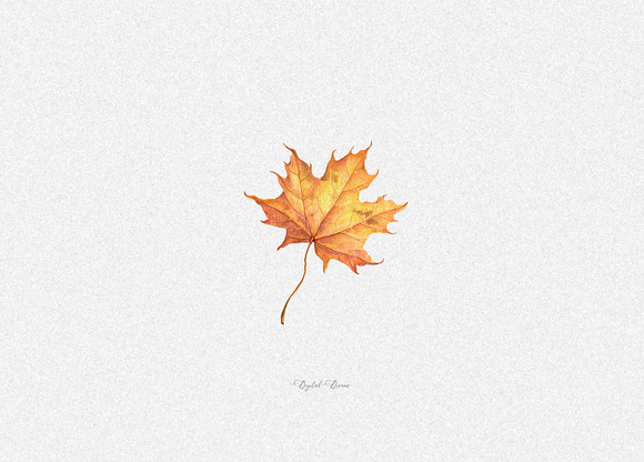 Watercolor fall leaves in Illustrations - product preview 1