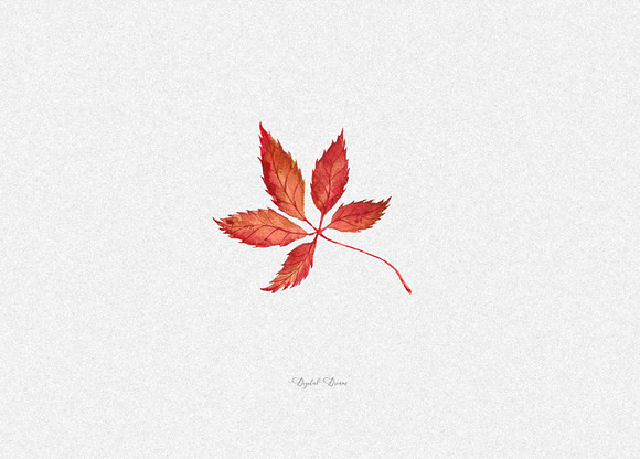 Watercolor fall leaves in Illustrations - product preview 2