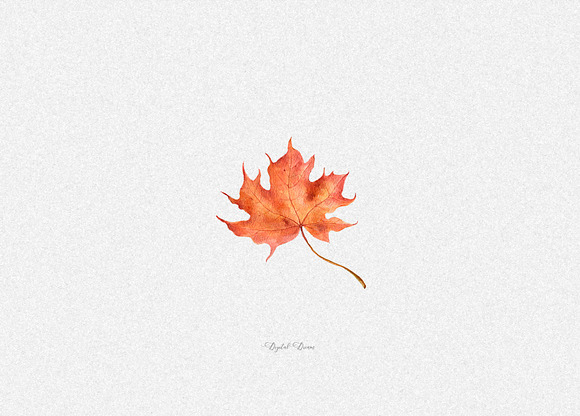 Watercolor fall leaves in Illustrations - product preview 4