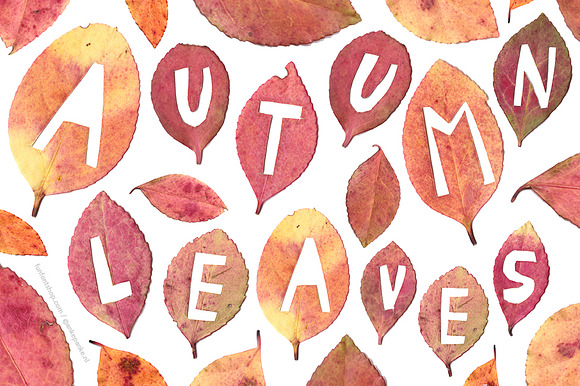 Autumn Leaves handmade letters in Graphics - product preview 2
